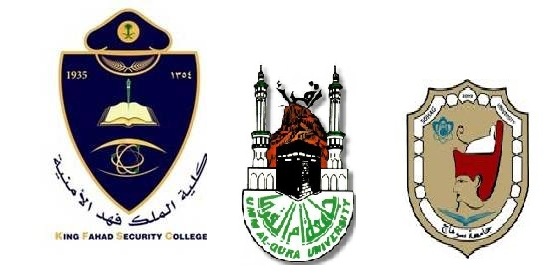 تنمية الثقافة التنظيمية المدرسية لتحقيق أبعاد التوعية الأمنية : دراسة تحليلية